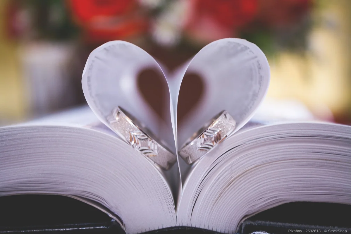 Das Hochzeitsratgeber Buch - So wählst du das richtige für dich